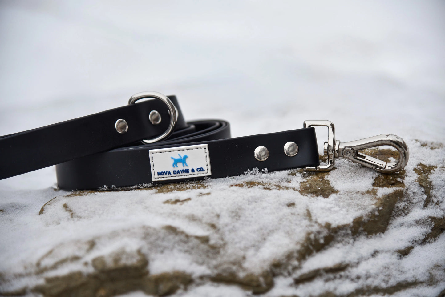 Nightcap Leash