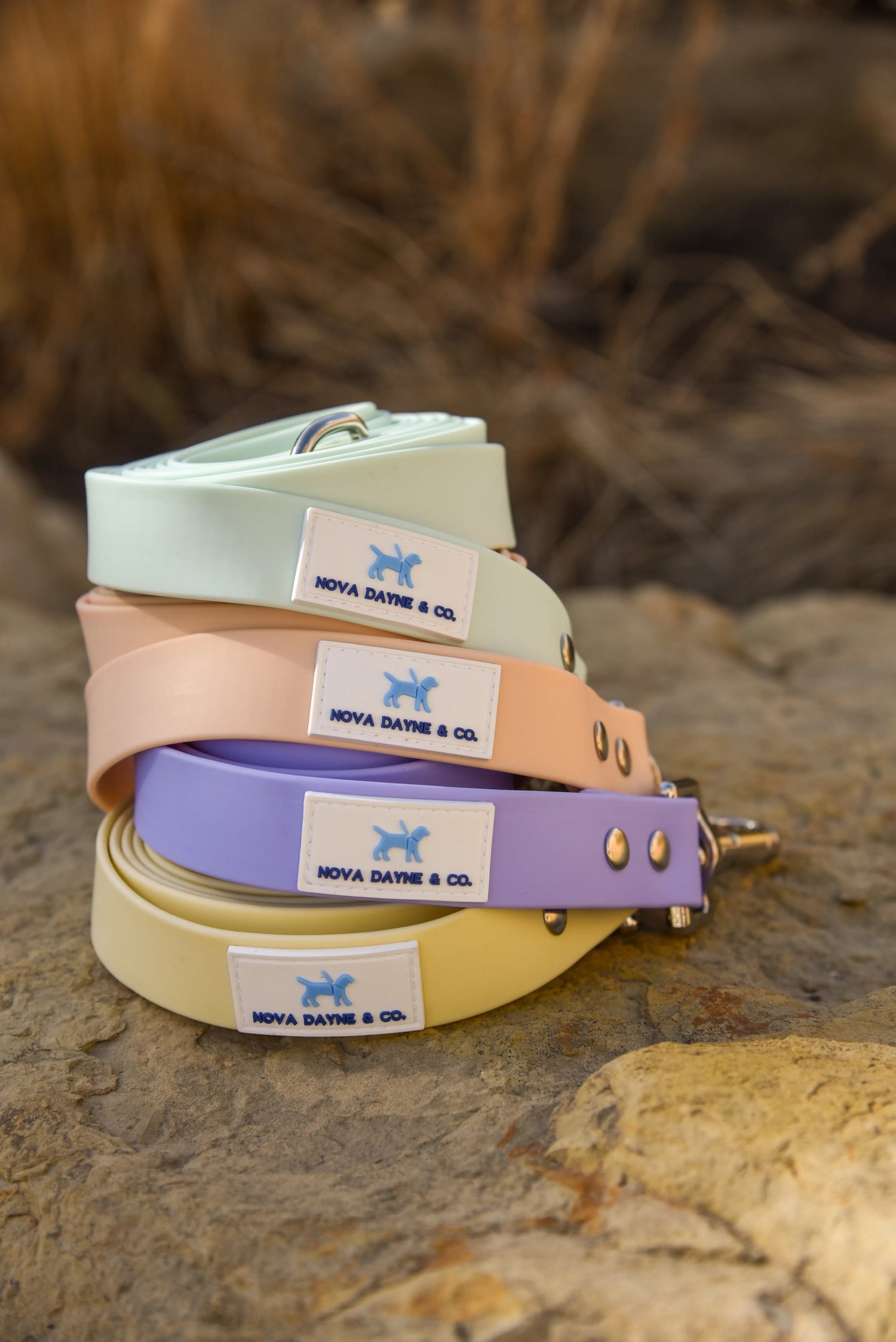 SHOP LEASHES