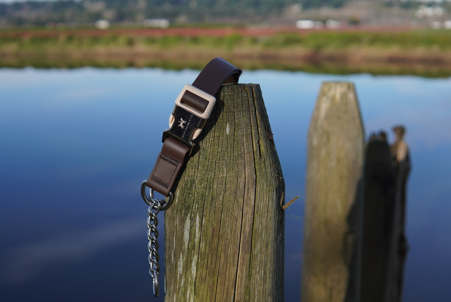 Macchiato Martingale Collar