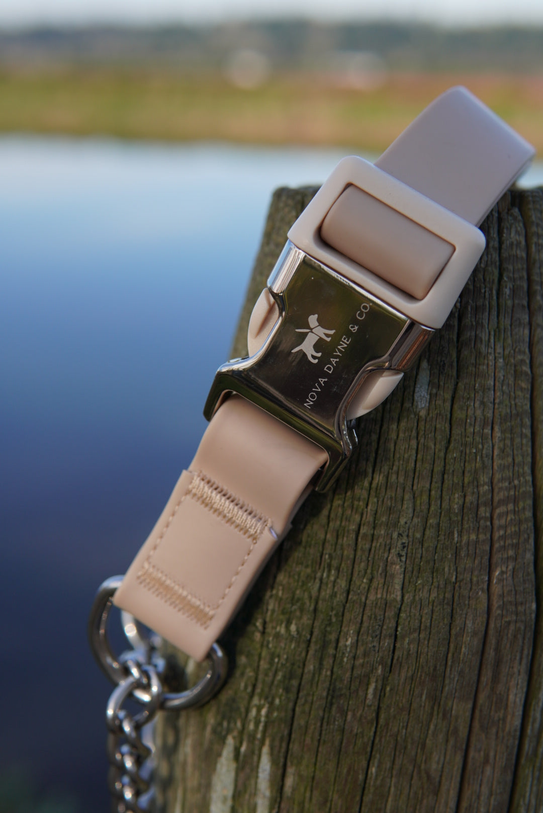 Champagne Martingale Collar