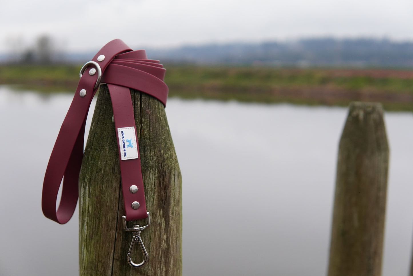 Bordeaux Leash