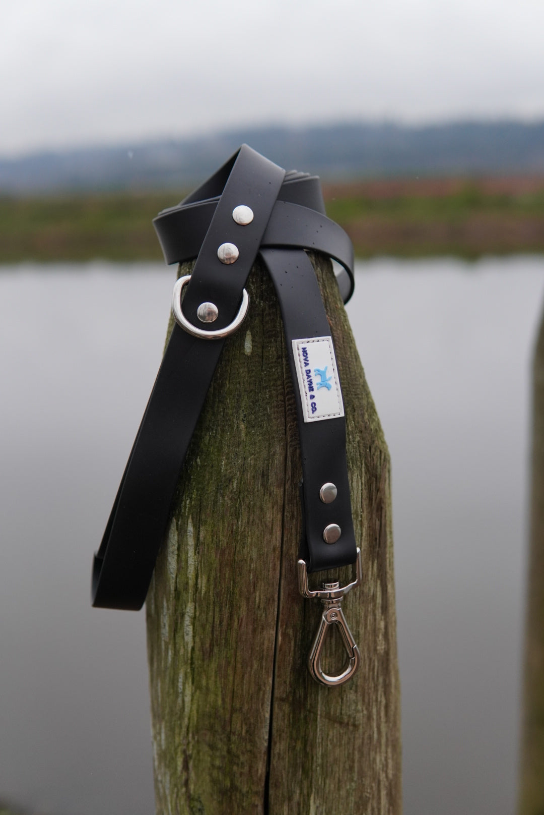 Nightcap Leash
