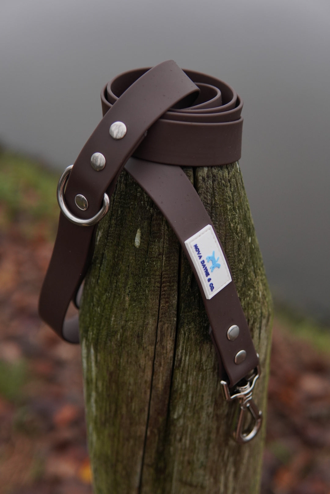 Macchiato Leash