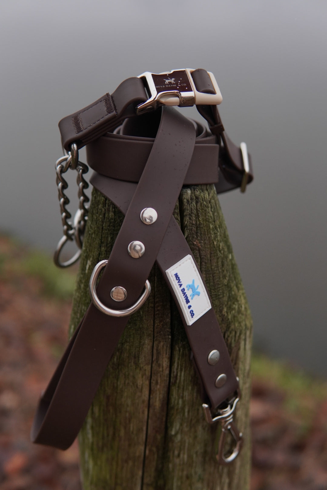 Macchiato Martingale Collar