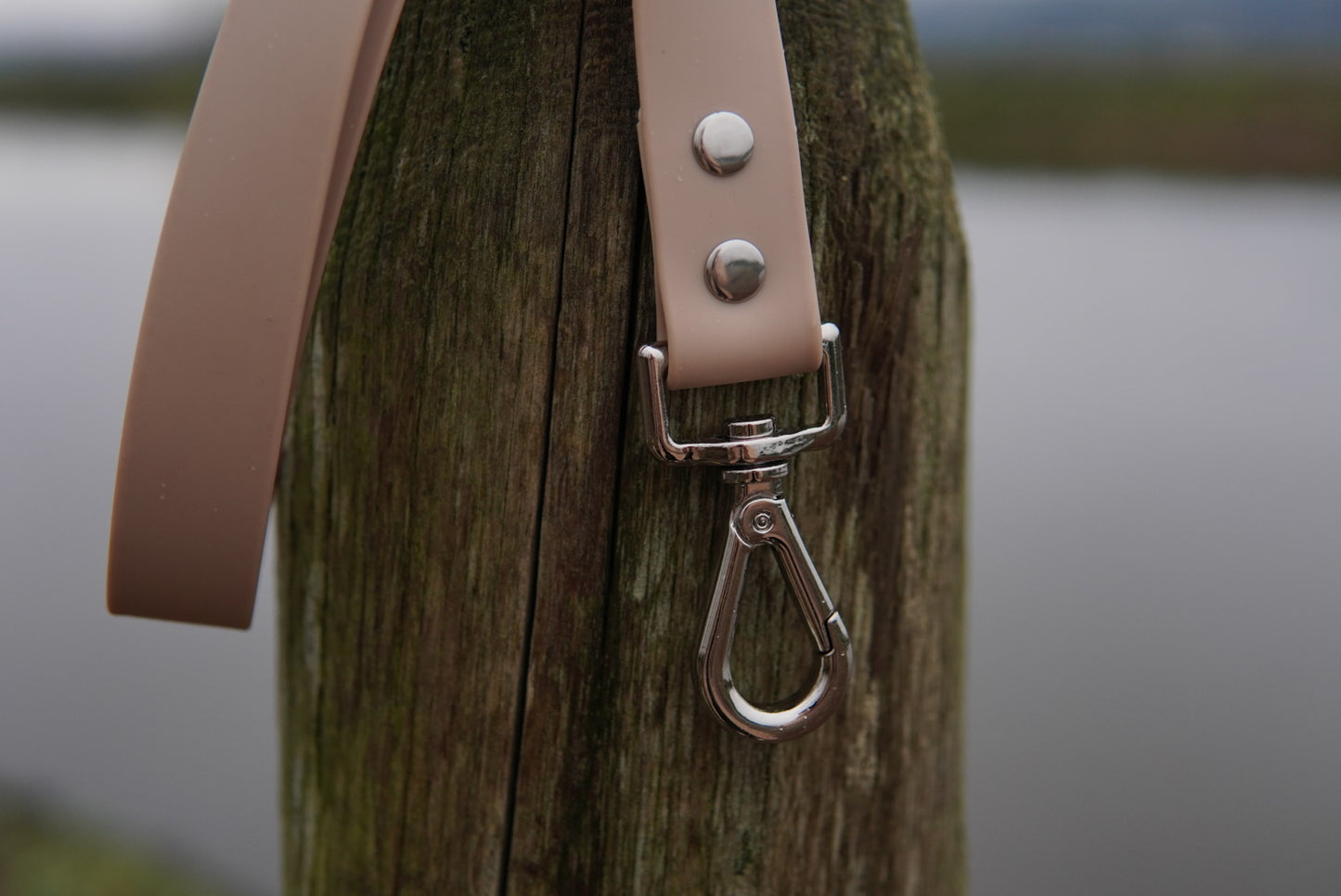 Champagne Leash