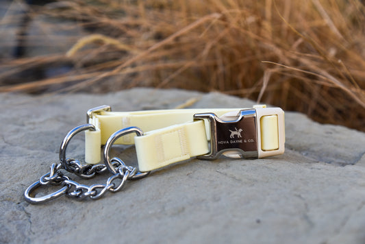 Lemon Martingale Collar