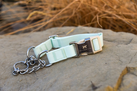 Mint Martingale Collar