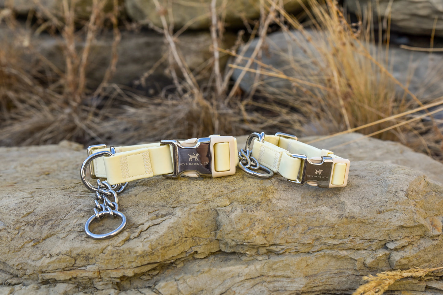 Lemon Martingale Collar