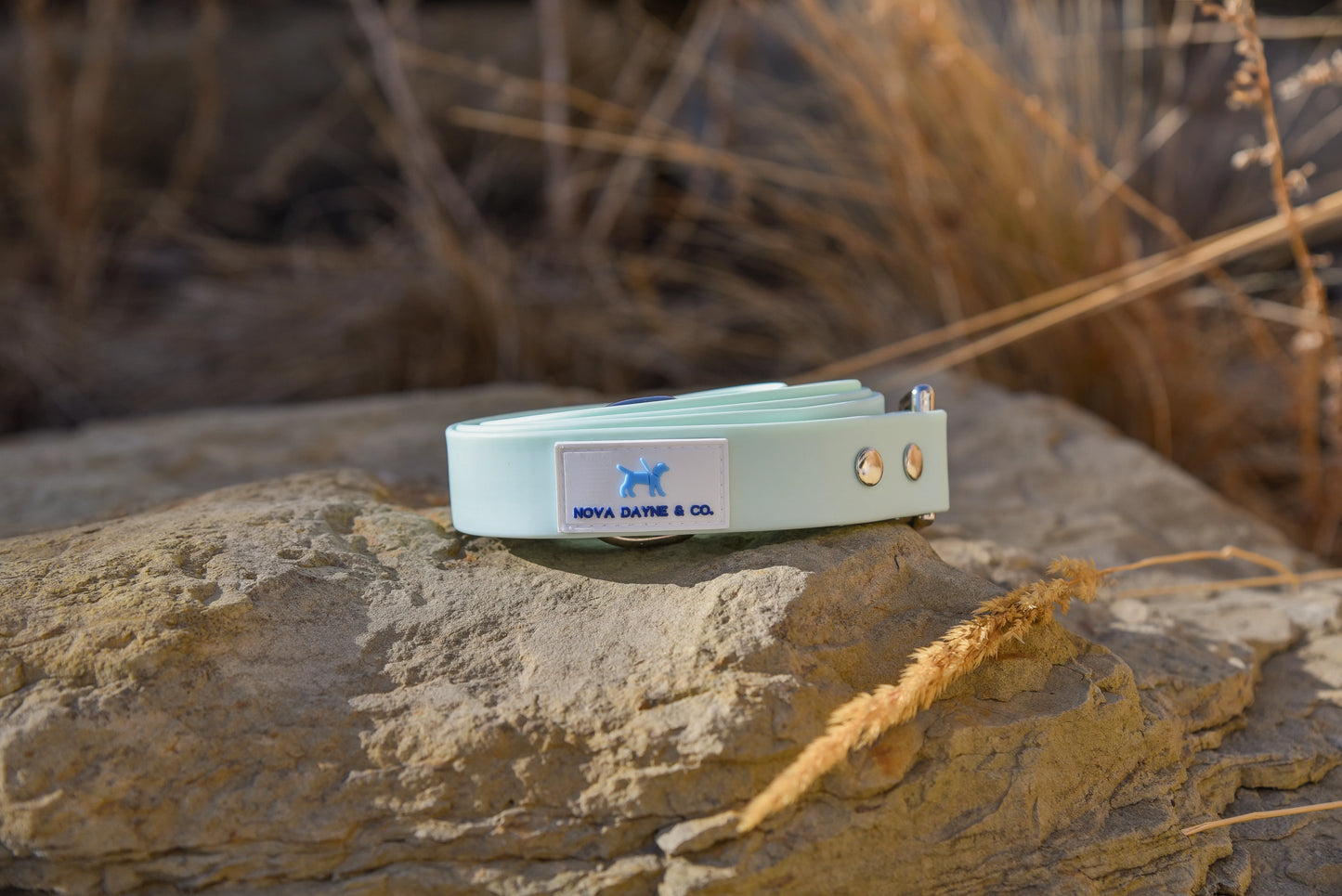 Mint Leash