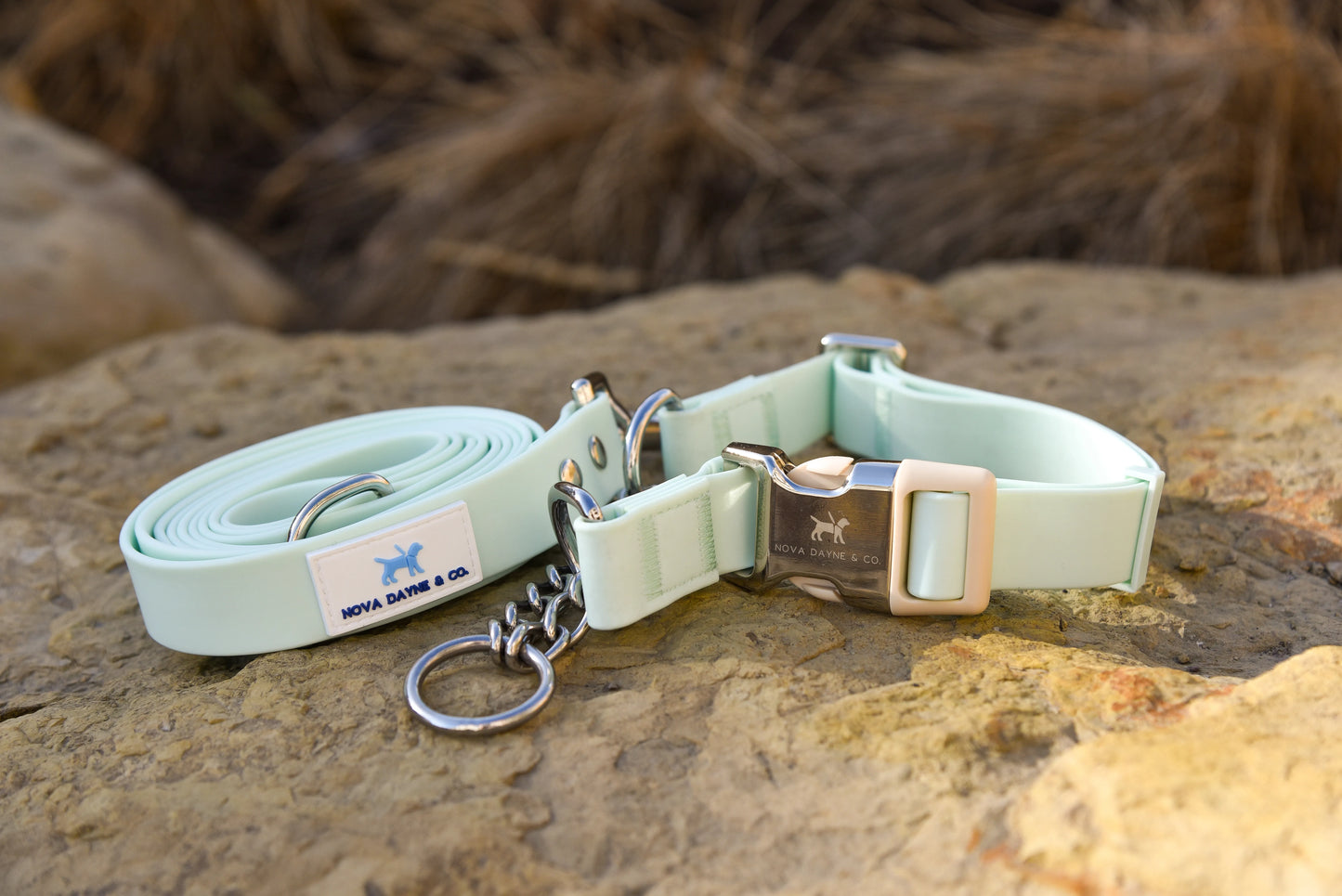 Mint Leash
