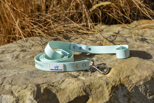 Mint Leash