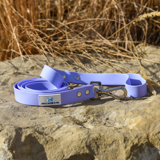 Plum Leash