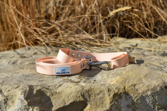 Peach Leash