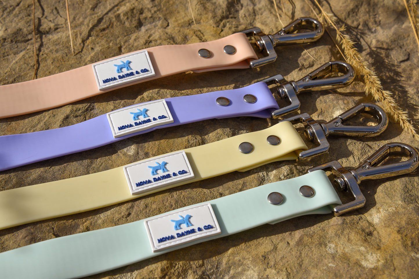 Plum Leash