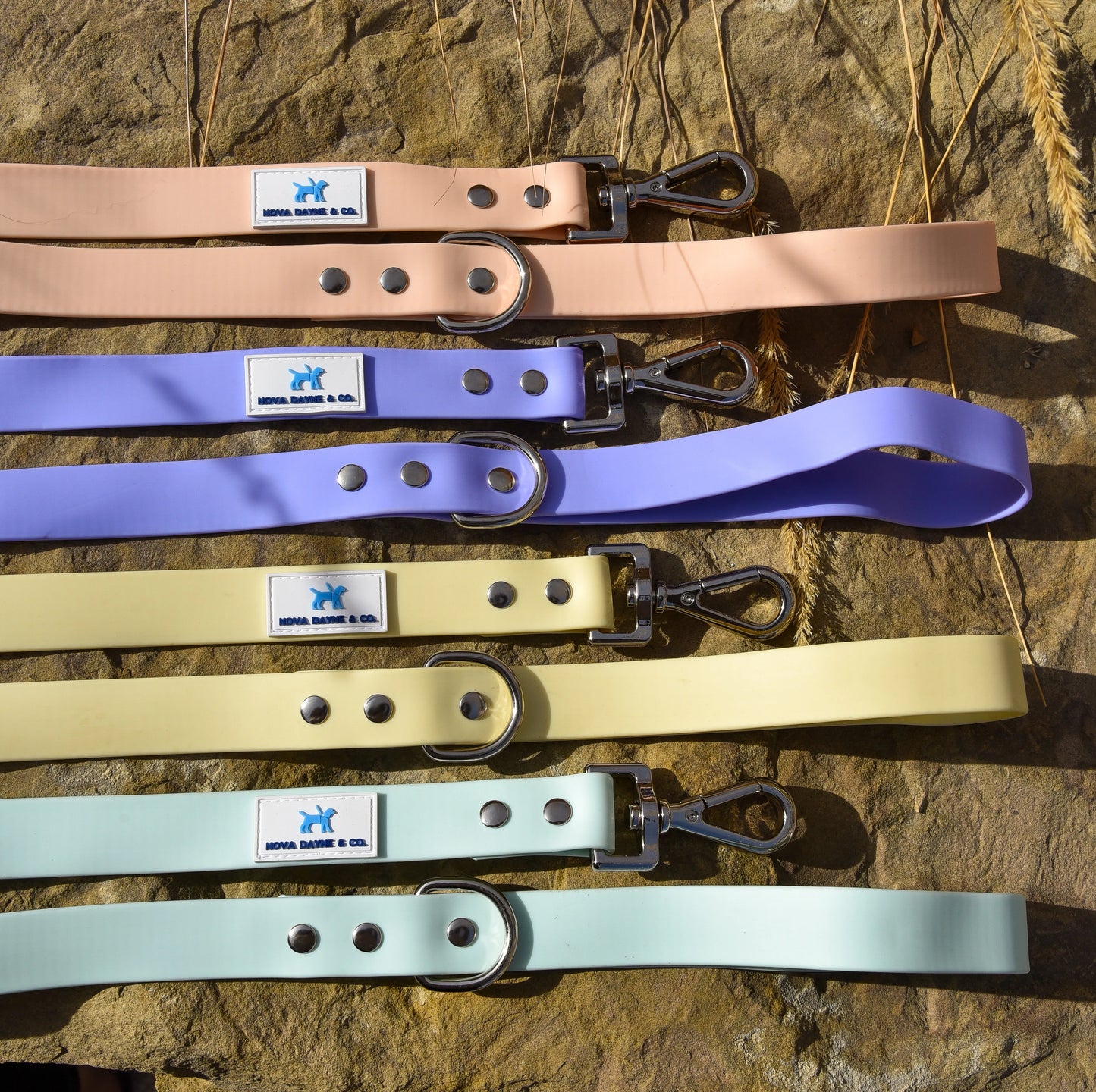Champagne Leash