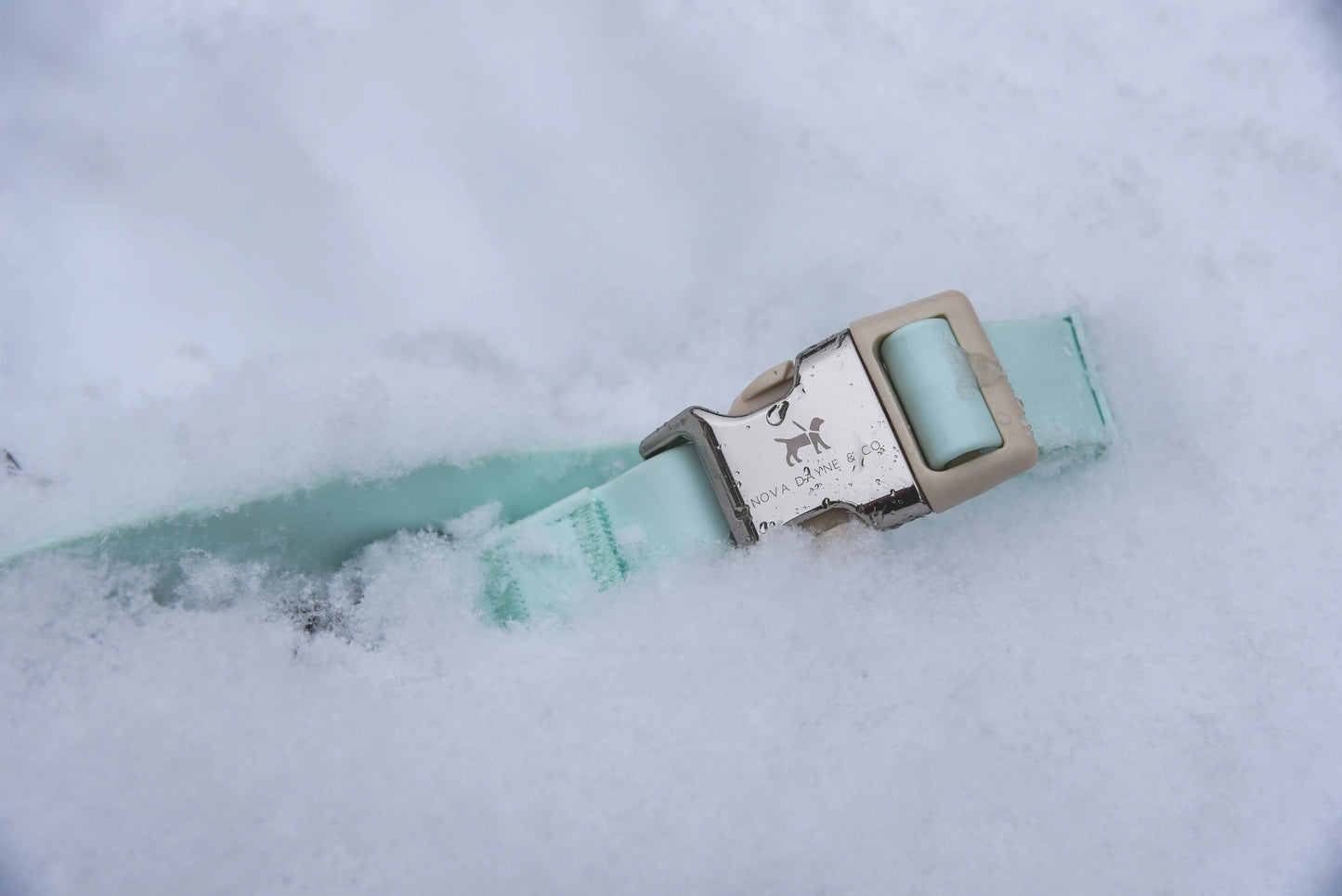 Mint Martingale Collar