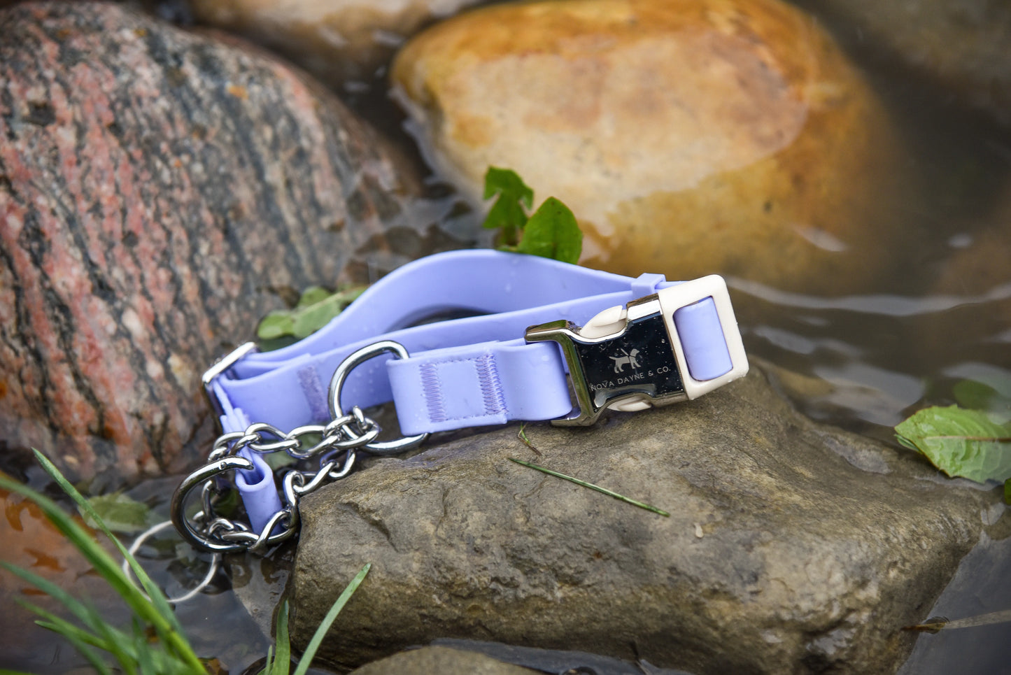 Plum Martingale Collar