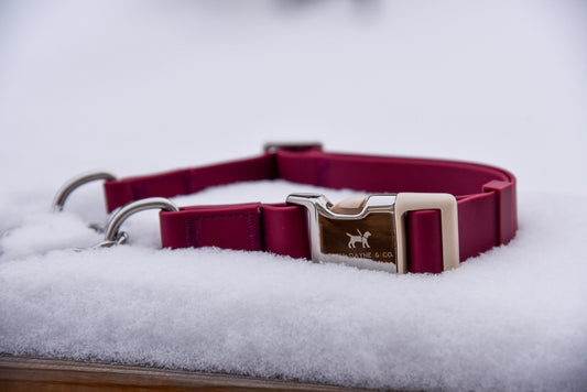 Bordeaux Martingale Collar