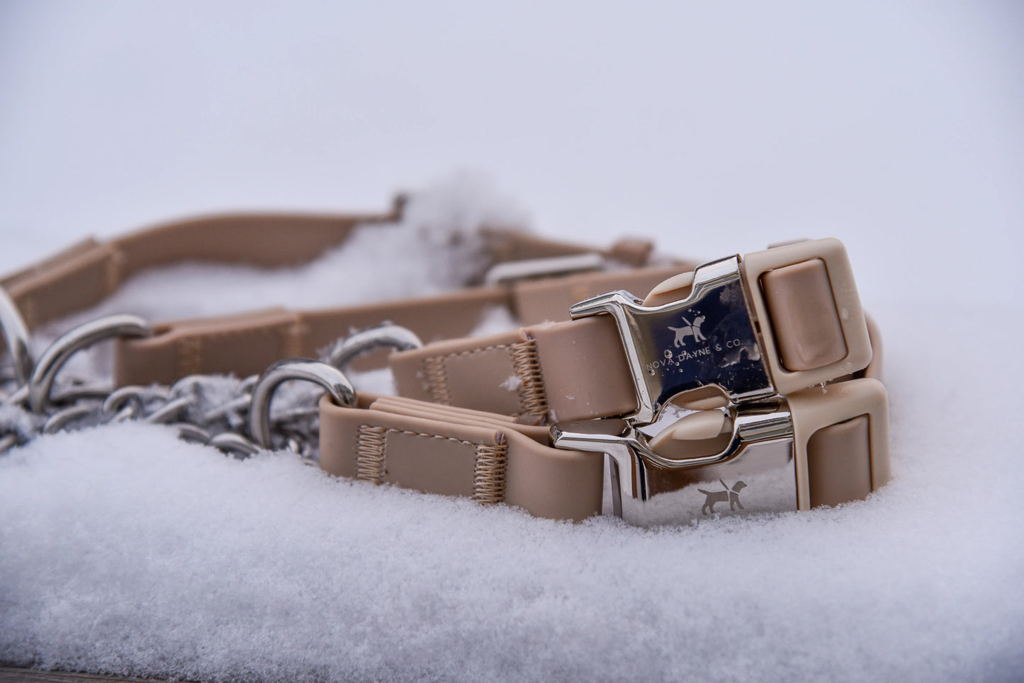 Champagne Martingale Collar