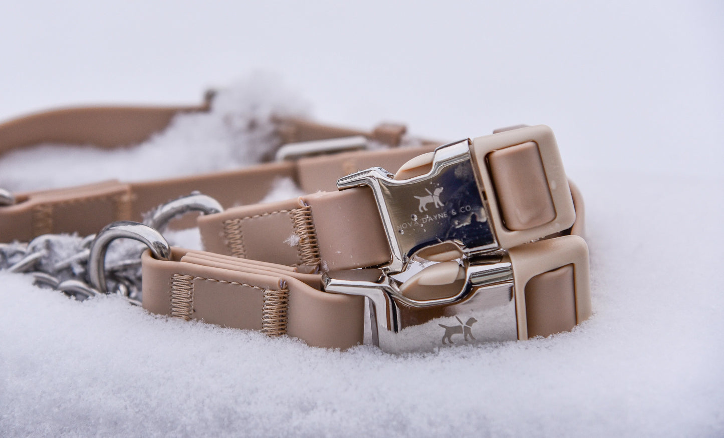 Champagne Martingale Collar