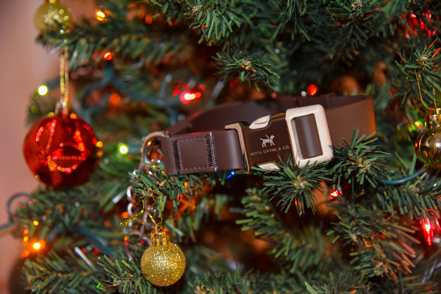 Macchiato Martingale Collar