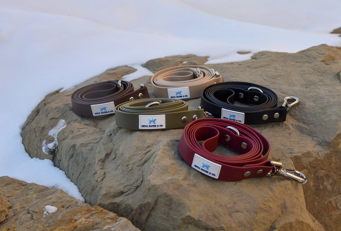 Bordeaux Leash