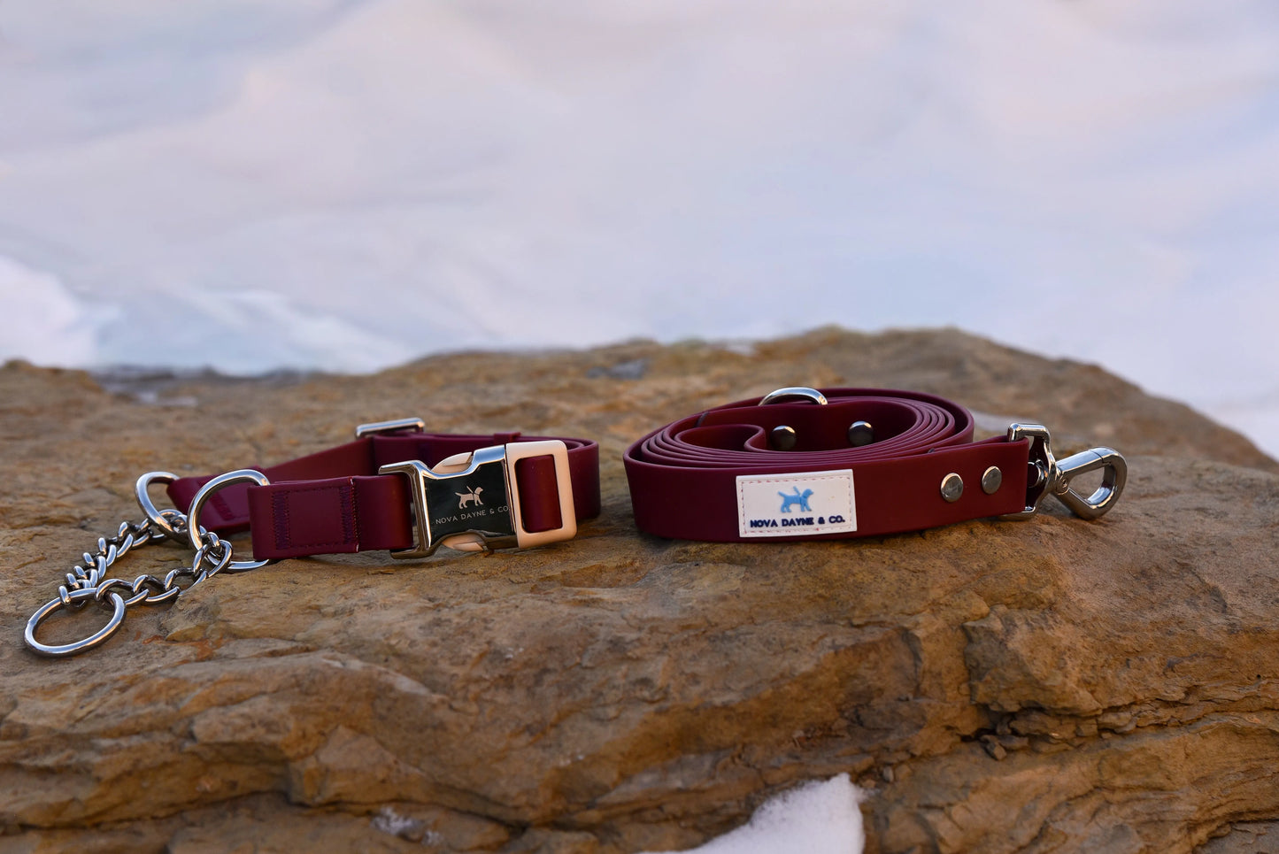 Bordeaux Leash