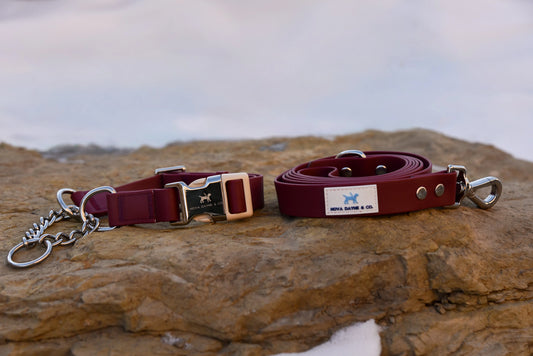 Bordeaux Leash