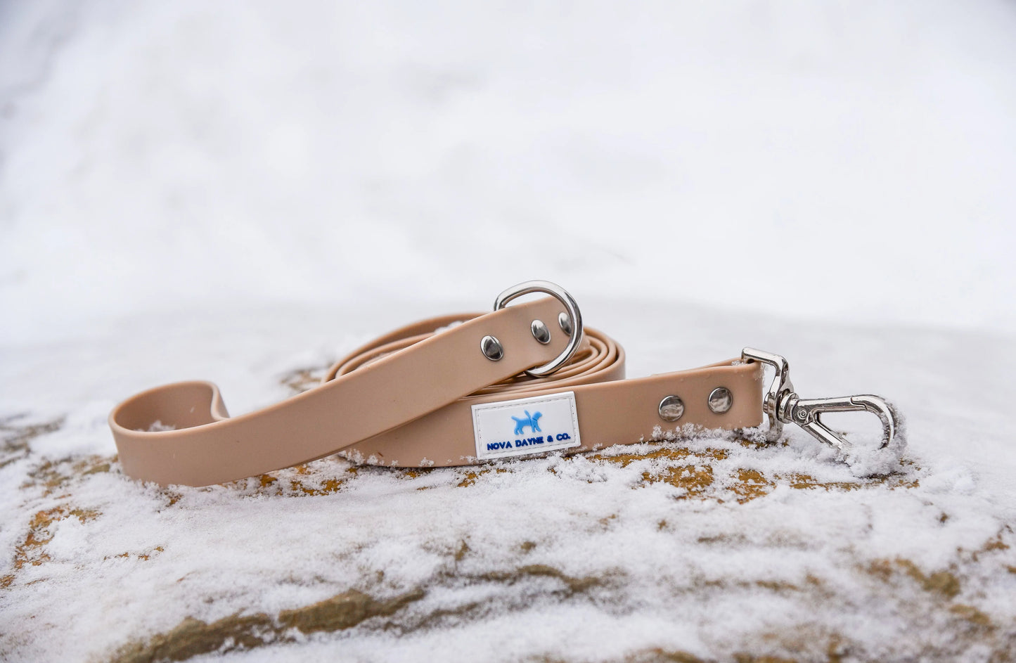 Champagne Leash