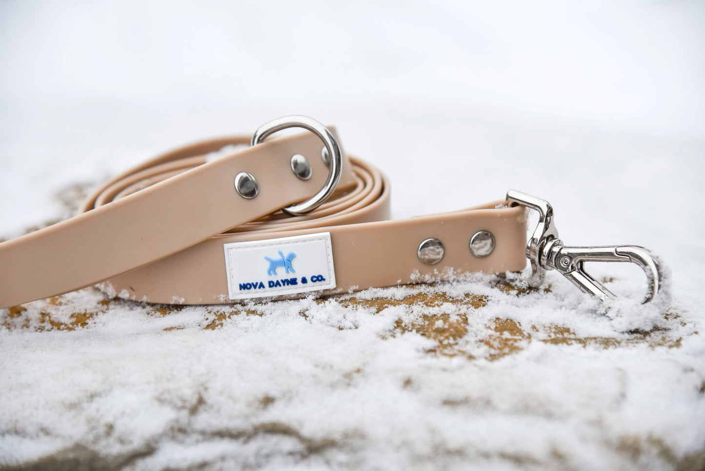 Champagne Leash