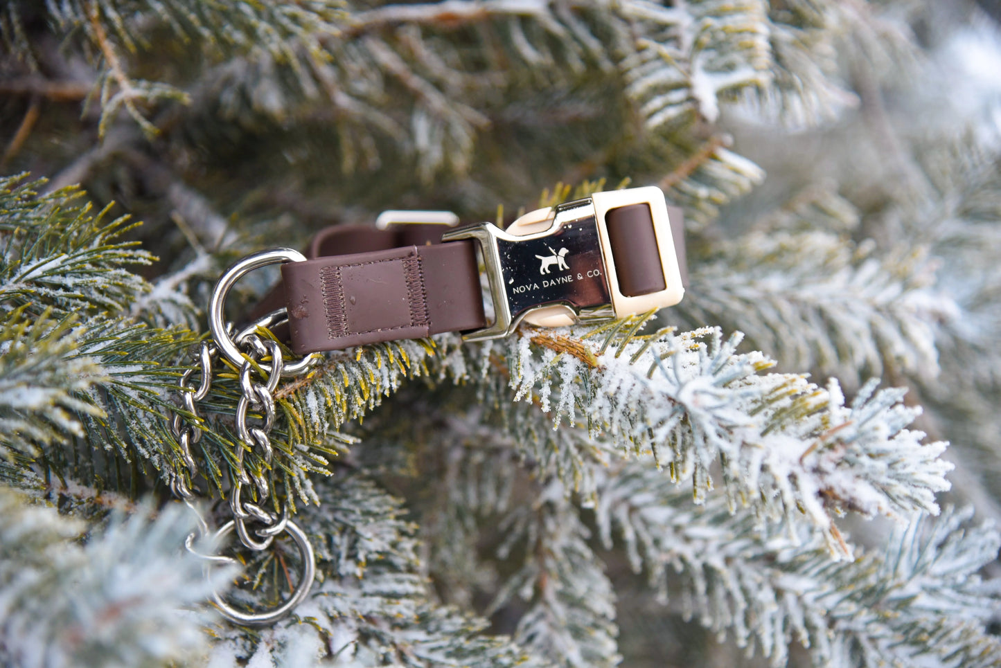 Macchiato Martingale Collar