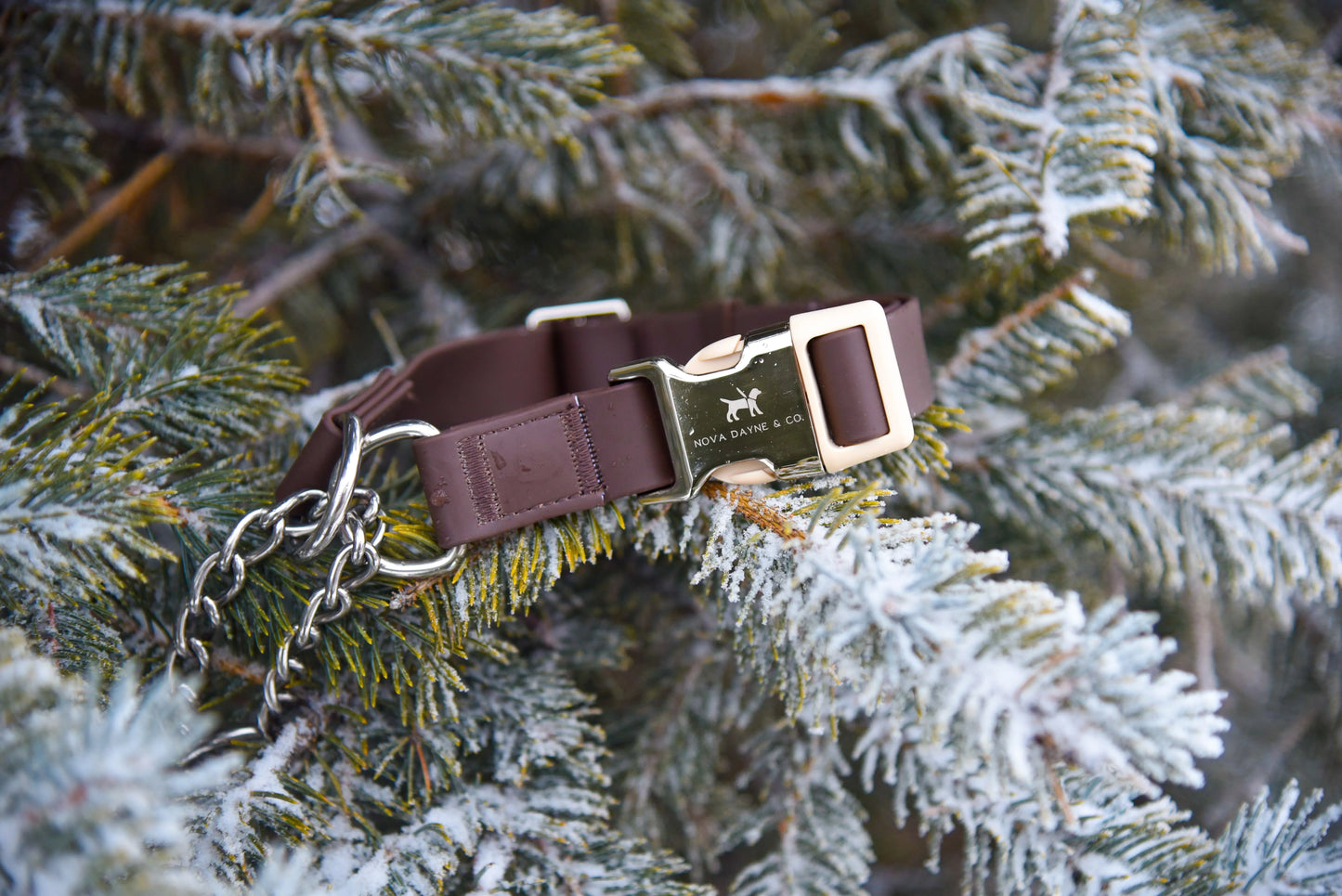 Macchiato Martingale Collar