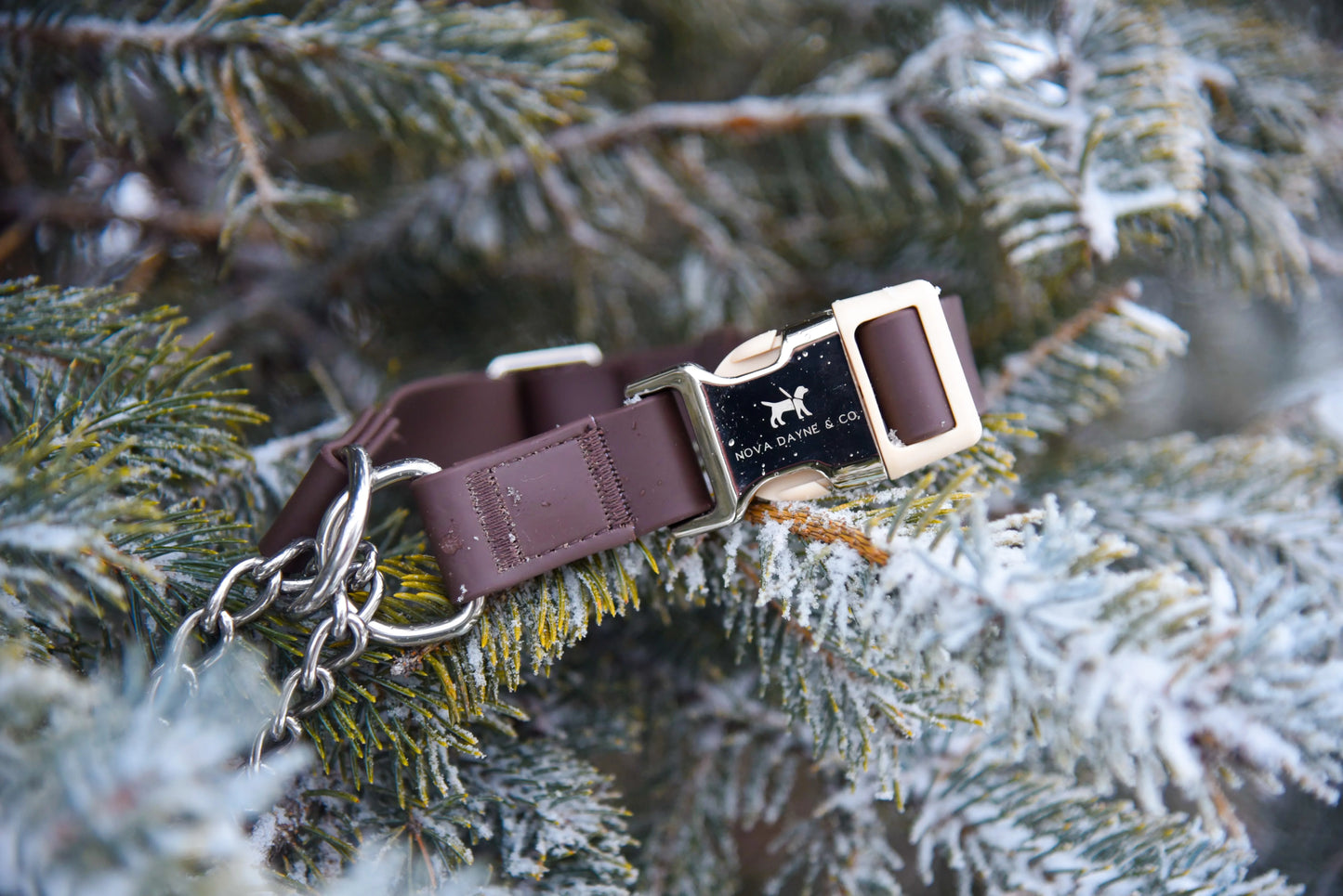 Macchiato Martingale Collar
