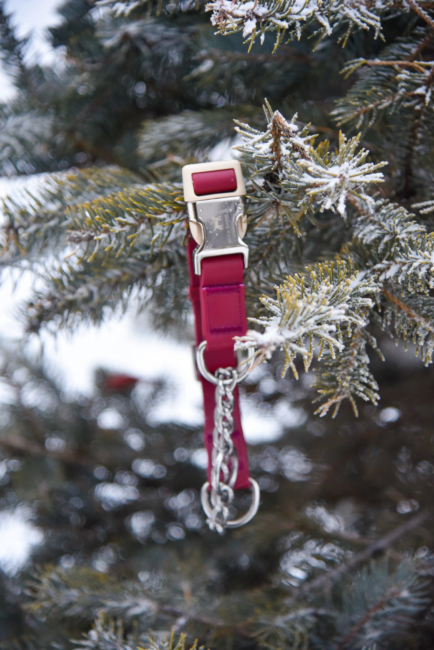 Bordeaux Martingale Collar