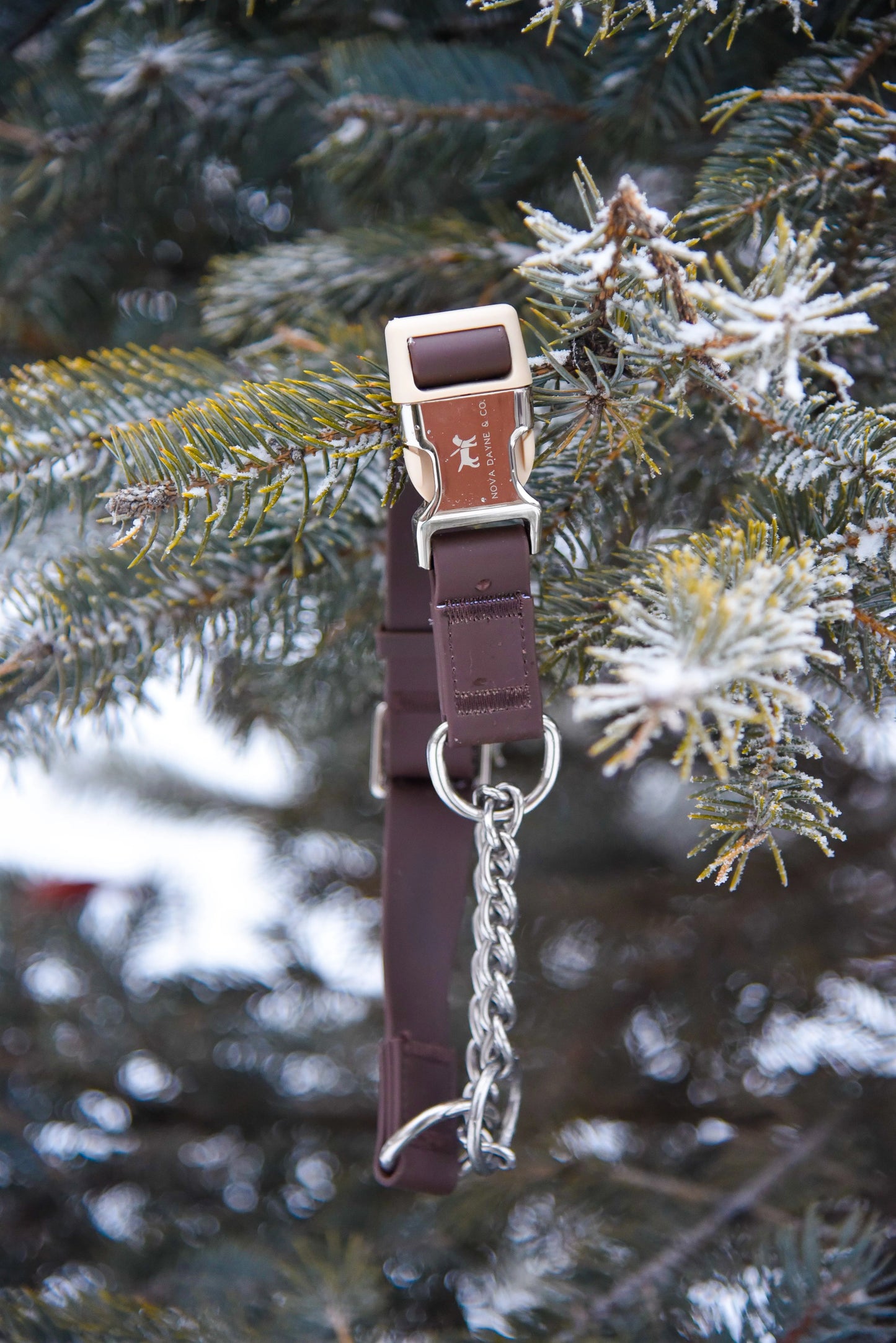 Macchiato Martingale Collar