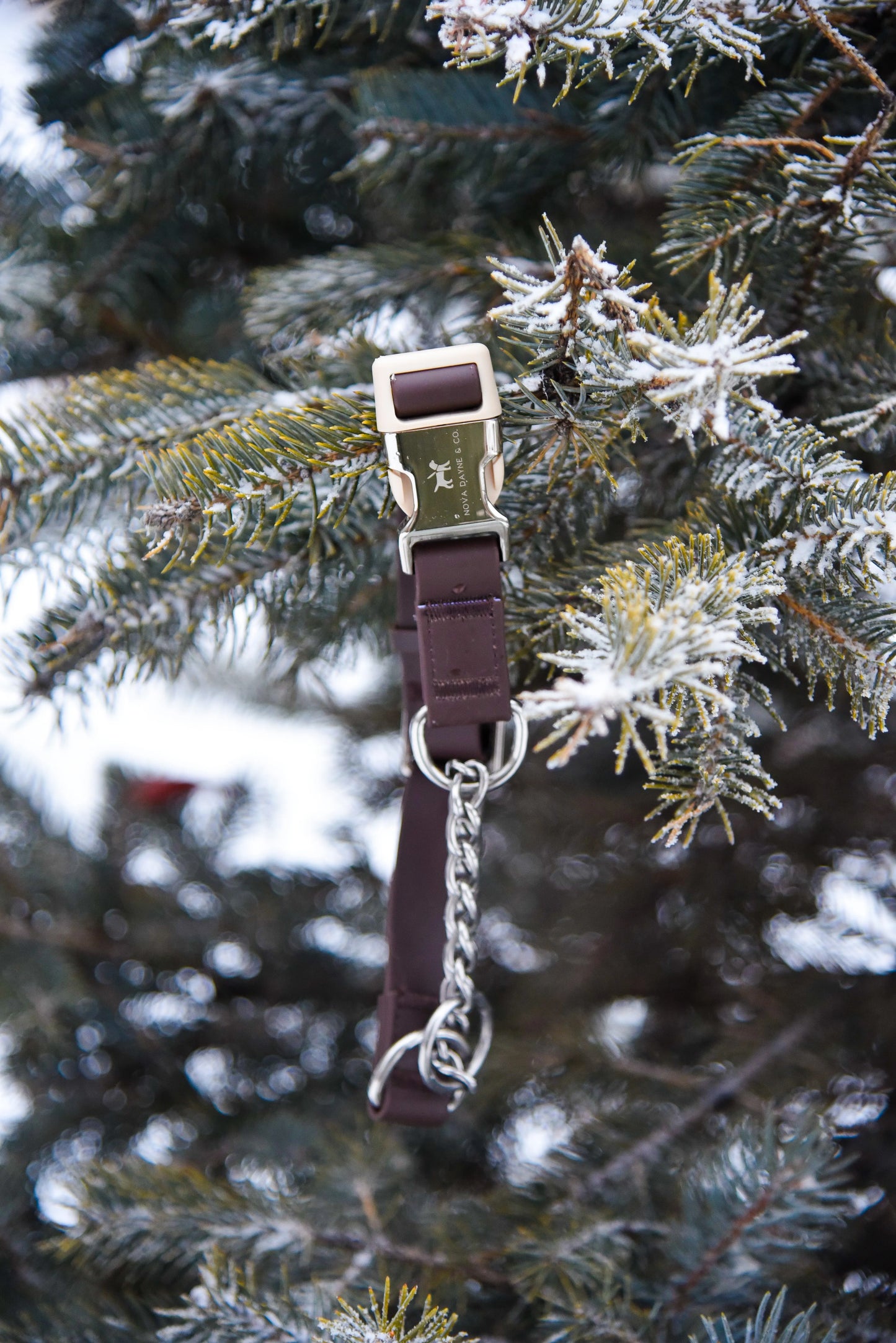 Macchiato Martingale Collar