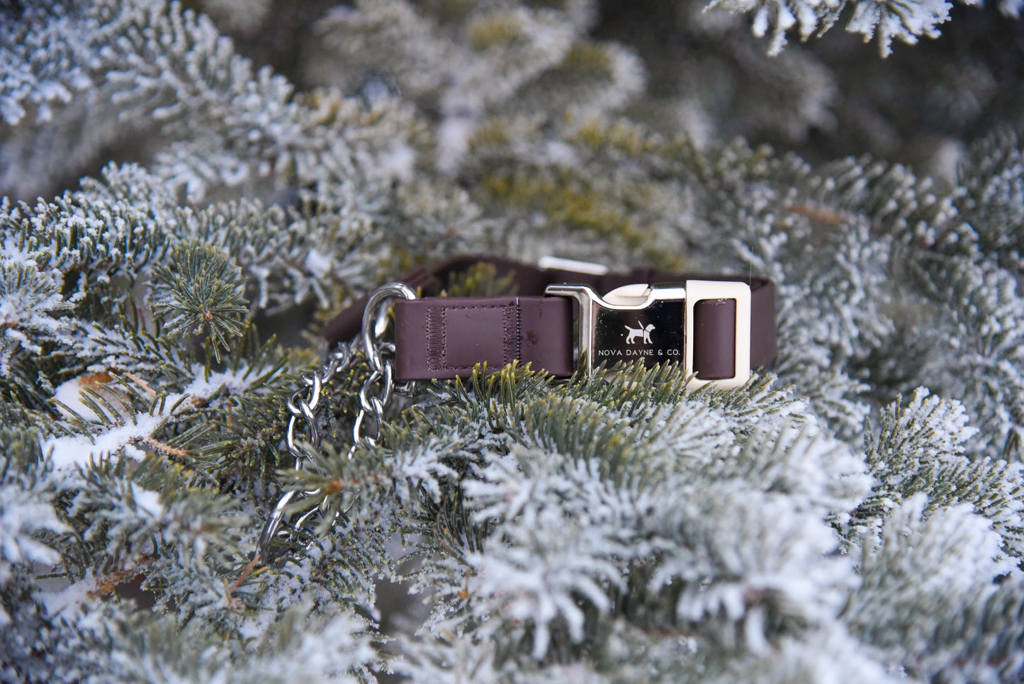 Macchiato Martingale Collar